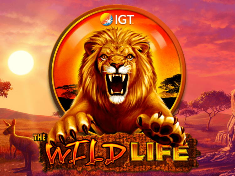 The Wild Life slot detailed overlook and description of all available bonuses